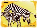Zebra_Stallions_2.jpg